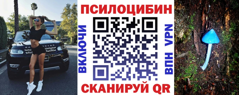 Псилоцибиновые грибы прущие грибы  Сыктывкар 